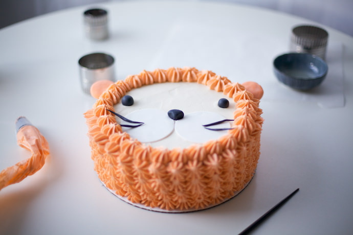 aslan kek pasta